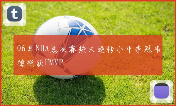 06年NBA总决赛热火逆转小牛夺冠韦德斩获FMVP