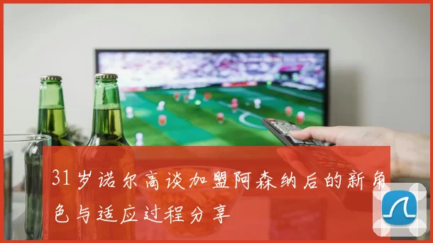 31岁诺尔高谈加盟阿森纳后的新角色与适应过程分享