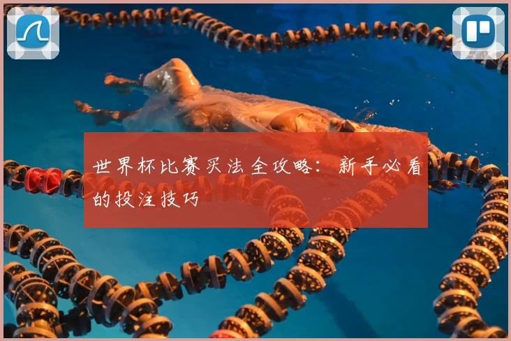 世界杯比赛买法全攻略：新手必看的投注技巧
