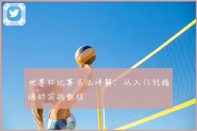 世界杯比赛买法详解：从入门到精通的实战教程