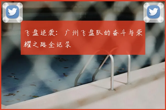 飞盘逆袭：广州飞盘队的奋斗与荣耀之路全记录