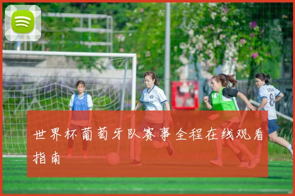 世界杯葡萄牙队赛事全程在线观看指南