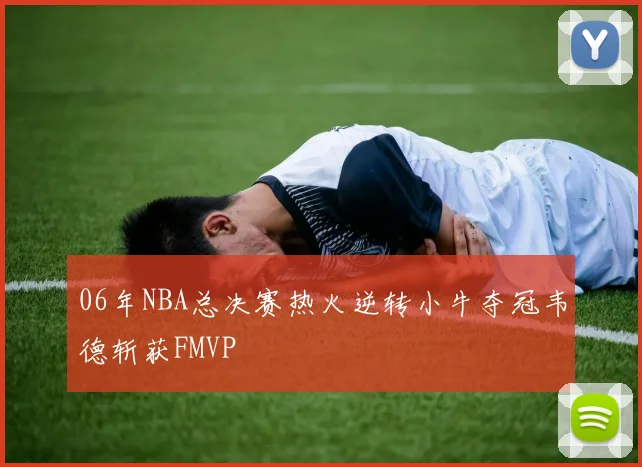06年NBA总决赛热火逆转小牛夺冠韦德斩获FMVP