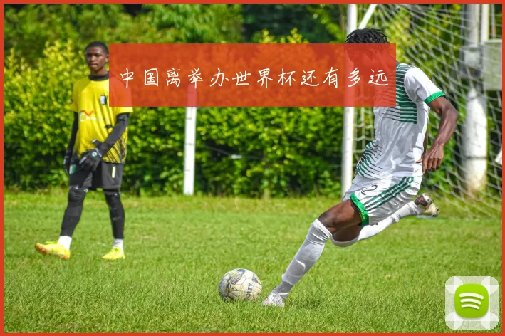 中国离举办世界杯还有多远