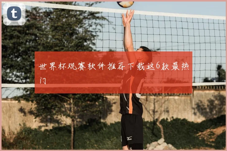 世界杯观赛软件推荐下载这6款最热门