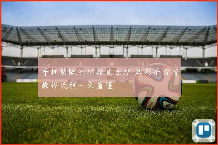 手机购欧洲杯指南出炉 购彩平台与操作流程一文看懂