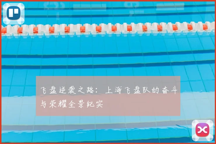 飞盘逆袭之路:上海飞盘队的奋斗与荣耀全景纪实