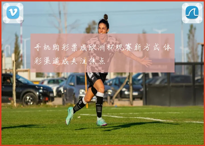 手机购彩票成欧洲杯观赛新方式 体彩渠道成关注焦点