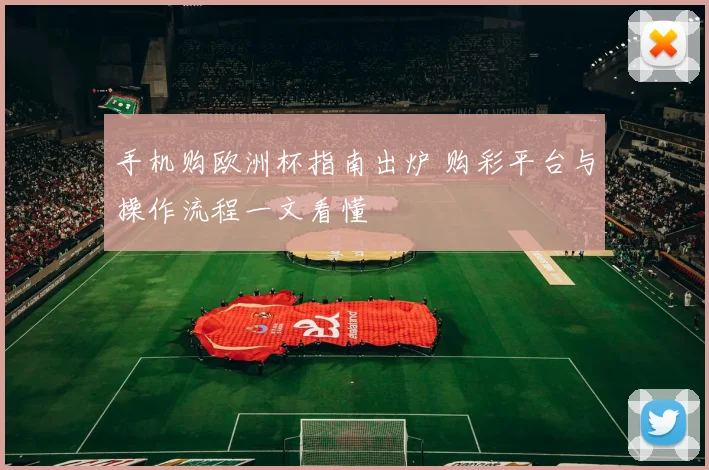 手机购欧洲杯指南出炉 购彩平台与操作流程一文看懂